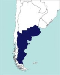 No hay imagen establecida 